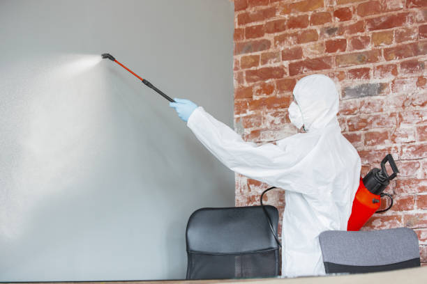 Best Mold Prevention Services  in Tyrone, PA