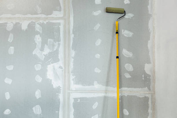 Best Black Mold Removal  in Tyrone, PA