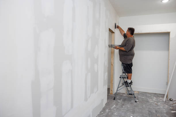 Best Basement Mold Removal  in Tyrone, PA