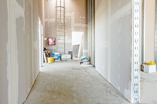 Best Attic Mold Removal  in Tyrone, PA